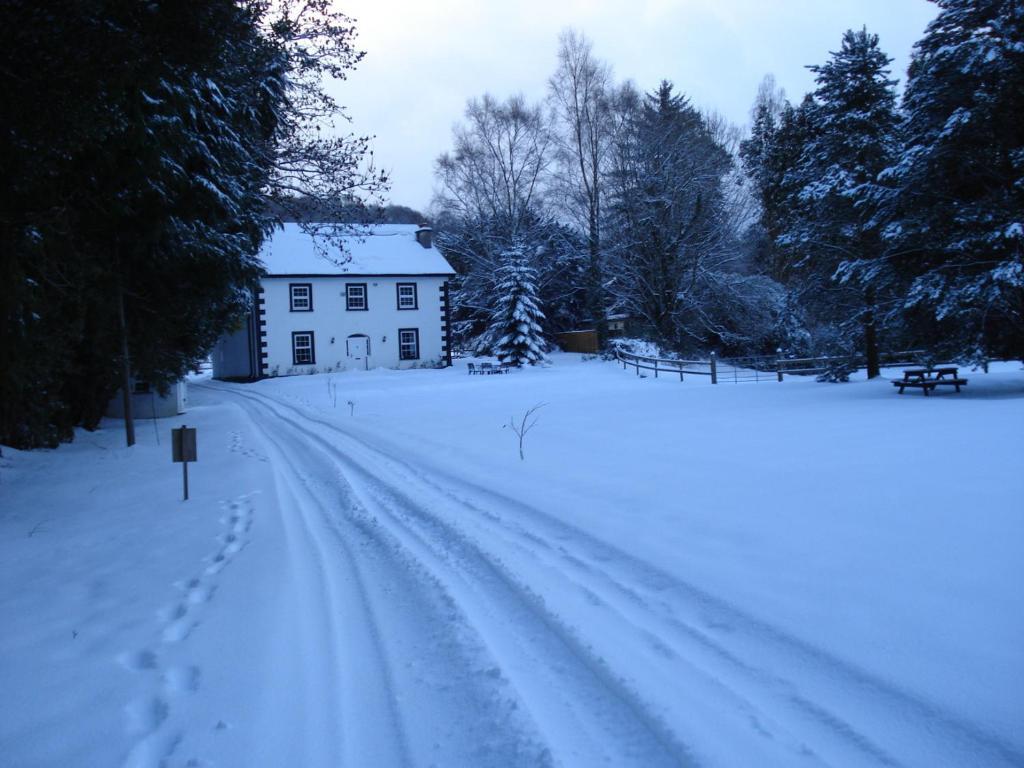 Ashton House Hotel Avoca Exterior photo