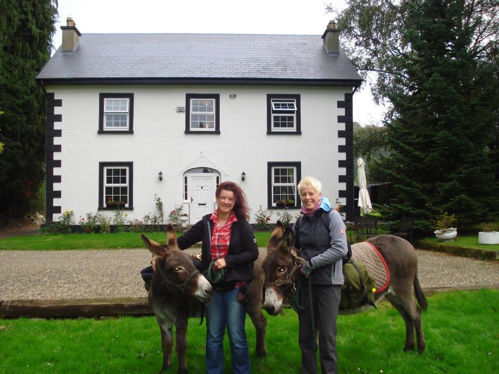 Ashton House Hotel Avoca Exterior photo